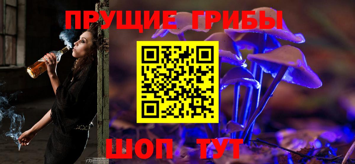 Псилоцибиновые грибы GOLDEN TEACHER  Вход с VPN  Ижевск 